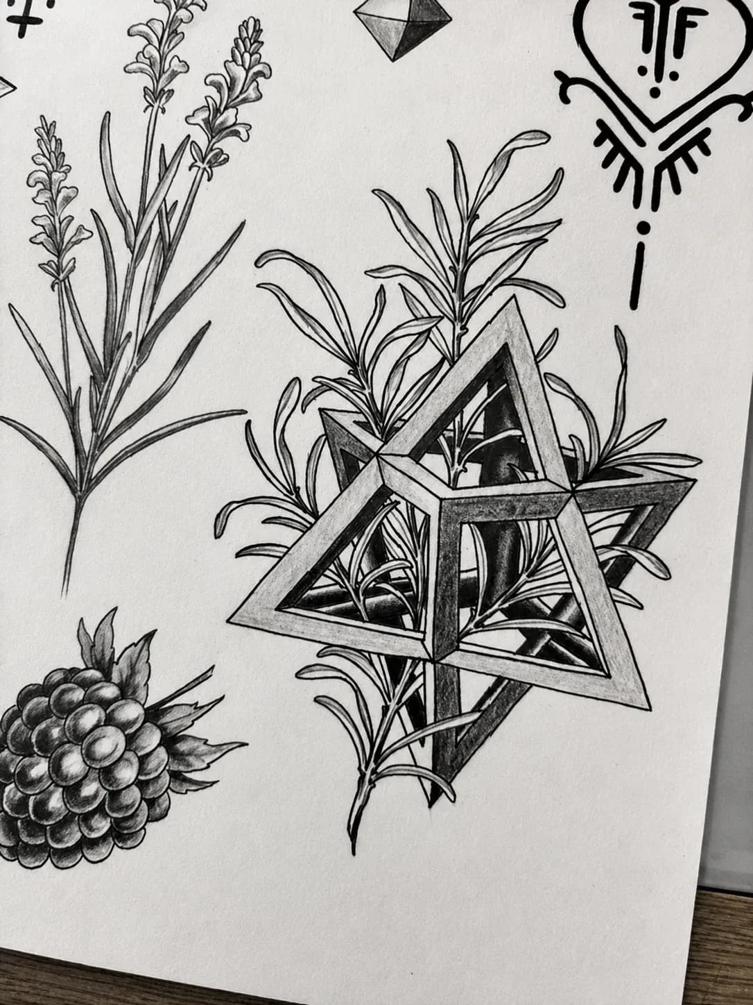 Botanical drawing with a sacred-geometry star, lavender and a berry
