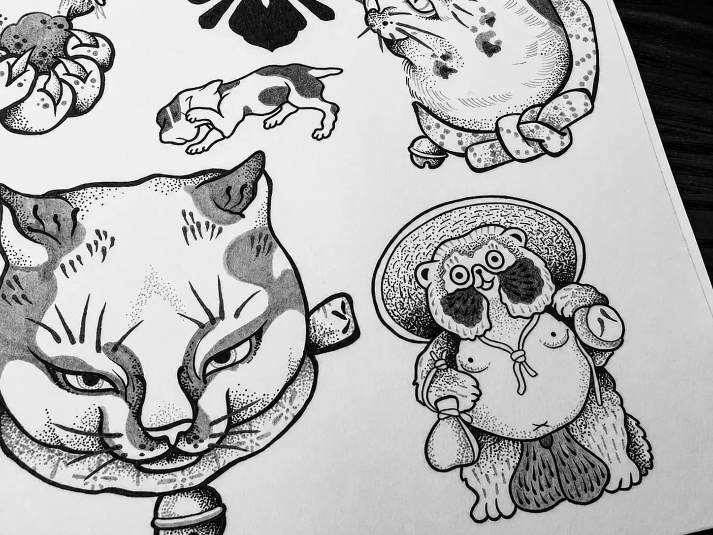 Japanese flash of cats and a tanuki