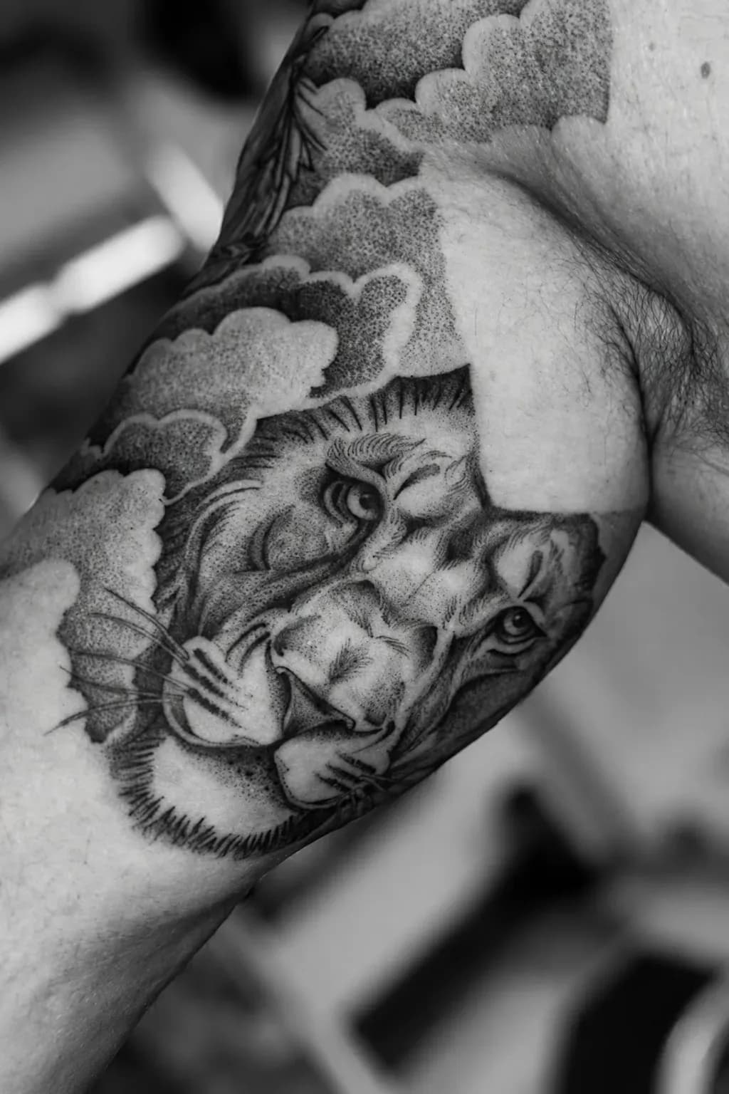 Dotwork lion among clouds, tattooed on an arm